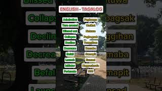 222 English Tagalog Translation reels shorts short video shortvideo youtubeshorts subscribe [upl. by Eiliab617]