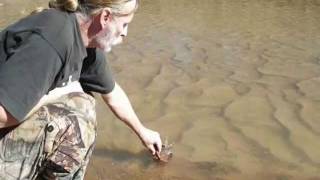 Survival way to purifying water from the creek [upl. by Yrallam]