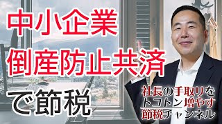 中小企業倒産防止共済（経営セーフティ共済）は節税に効く？ [upl. by Chapin]