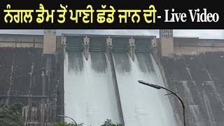 Water Release From Bhakra Dam at Nangal  Live Video [upl. by Sonaj]