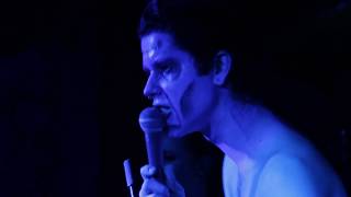 Night Shades  Human Fly The Cramps cover Live at the Shacklewell Arms [upl. by Notsob]