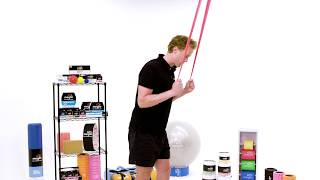 Triceps Extension Exercise [upl. by Watkins]