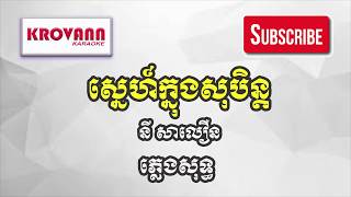 ស្នេហ៍ក្នុងសុបិន្ត  នី សាលឿន  ភ្លេងសុទ្ធ  sne knong soben  ny salern pleng sot krovann karaoke [upl. by Rinee]