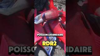 On pêcher un poisson légendaire du façon très spécial dans red dead redemption 2 gaming rdrd2 [upl. by Allmon744]