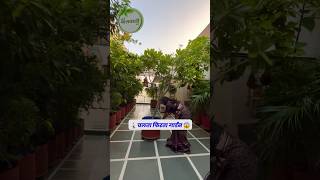 गुरुग्राम का चलता फिरता गार्डन 🚶😱 gardening gardeninglovers garden gardeningideas [upl. by Nyrek]