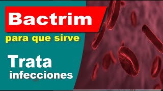 BACTRIM para que sirve efectos trata infecciones [upl. by Savina]