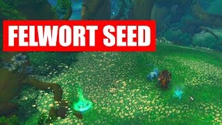 🔝 Felwort Seed  How to Plant  Location amp Planting 🔝 [upl. by Domella]