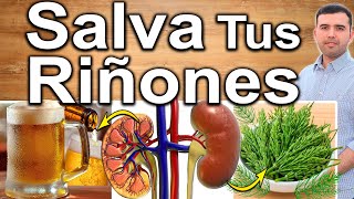 SALVA TUS RIÑONES  Como Cuidar Tus Riñones Para Que No Avance el Daño Renal [upl. by Gnoz]