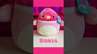 Squishmallows Valentine’s Bucket ft 1st to Market Sonja amp More [upl. by Atekihc]