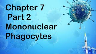 Chapter 7  Part 2 Mononuclear Phagocyte in immune defence [upl. by Fenn]