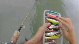 Rapala Flat Rap FLR10 for River Seabass [upl. by Gerita]