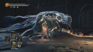 【8週目NG7】DARK SOULS 3  12 ボス・冷たい谷の踊り子BOSS Dancer of the Boreal Valley（NO DAMAGE） [upl. by Aznecniv97]