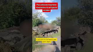 Курская область Суджа Российские морпехи показали кто в Курске хозяин [upl. by Moreen]