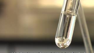 Using Tollens Reagent to Test for Aldehydes Silver Mirror Test [upl. by Buyers]