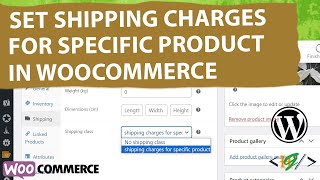 How to Set Shipping Charges for Specific Product in WooCommerce WordPress [upl. by Centeno531]