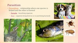 Symbiosis  Mutualism Parasitism Commensalism [upl. by Haissem811]