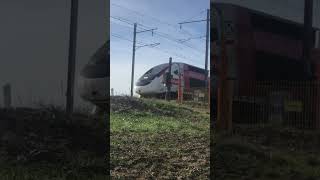 Le TGV lyria [upl. by Rettig]