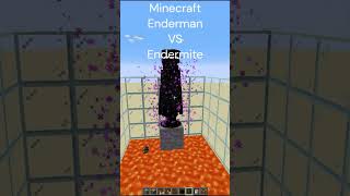 Minecraft Enderman VS Endermite shorts minecraft [upl. by Ahpla]