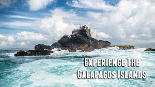 Experience The Galapagos Islands [upl. by Biles]