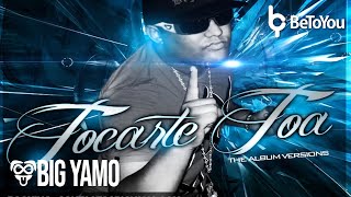 Big Yamo Ft Calle 13  Tocarte Toa Mashup [upl. by Kimball]