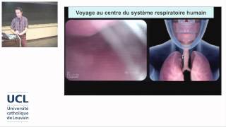 2 Lanatomie respiratoire de la bouche aux alvéoles pulmonaires [upl. by Comptom]