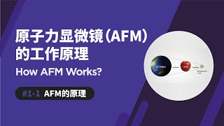 原子力显微镜的原理  How AFM Works [upl. by Dilks]