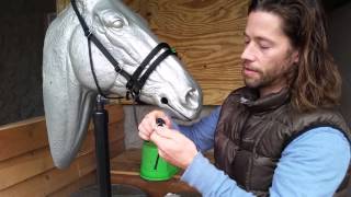 Ultimate Bitless Bridle UBB  How to put on and Adjust the UBB [upl. by Nodnarbal435]