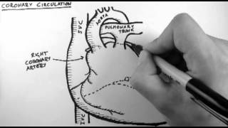 Coronary Circulation [upl. by Radie750]