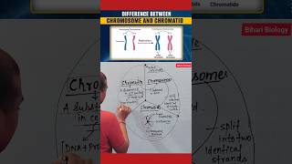 Chromosome Vs Chromatids neet2025 nursing cell [upl. by Naejeillib202]