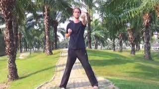 Wing Chun First Form  Siu Nim Tao  The Little Idea [upl. by Castera734]