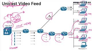 CCNP ENCOR Multicast 01강 [upl. by Browne]