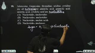 Adenosine Guanosine thymidine uridine cytidine are all  but adenylic acid guanylic a [upl. by Otinauj]