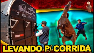 Levando cavalo para corrida de Velocidade [upl. by Lehcir]