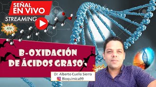 Bioquímica Que es la Beta Oxidación [upl. by Reifinnej301]