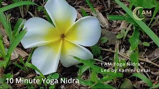 10 minute Yoga Nidra  NSDR [upl. by Aekim]