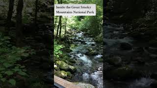 27 seconds of SERENITY in the Great Smoky Mountains 🥰⛰️ GATLINBURG TN gatlinburgtn travel [upl. by Leeban802]