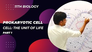 PROKARYOTIC CELL PART 1  CELL THE UNIT OF LIFE  11TH BIOLOGY  NEETUG  ACADEMIC SESSION 202425 [upl. by Anu]