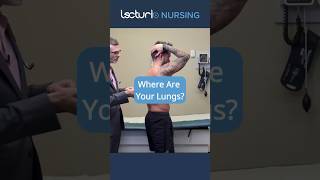 Understanding Lung Location for Auscultation 🫁 nclexrn nurseeducator [upl. by Derinna]