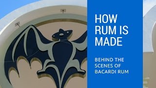 How Rum Is Made Behind The Scenes of Bacardi Rum Distillery [upl. by Rizzo]