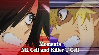 Killer T Cell and NK Cell【 Hataraku Saibou Episode 6  7 】 [upl. by Yrrac793]