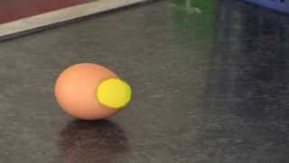 Egg Experiment to Demonstrate Inertia [upl. by Ruhtracm934]