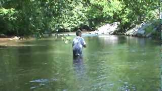 Fishing for trout in the river hiawassee ga [upl. by Petracca]