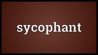 Sycophant Meaning [upl. by Malan]