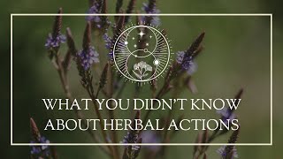 What You Didnt Know About Herbal Actions [upl. by Wayland]