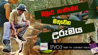 රාජ් සෝමදේවයන්ගේ මීමුරේ කැණීම 03  Meemure Excavations  Unlimited History Sri lanka 171  03 [upl. by Nilsoj]