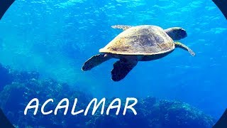 Música Relaxante e Fundo do Mar 🎵 Acalmar a Mente [upl. by Nerty]