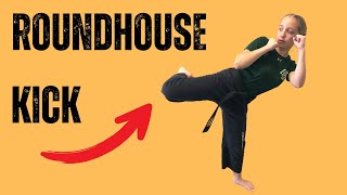 HOW TO DO A LEAD LEG ROUNDHOUSE KICK  Tutorial [upl. by Enenstein]