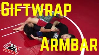 TMG Clips 1  Mounted Armbar [upl. by Alemak]