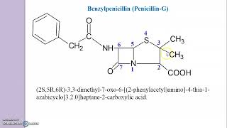 Drawing of Penicillin Structure  Benzylpenicillin Phenoxymethylpenicillin [upl. by Cirilo637]