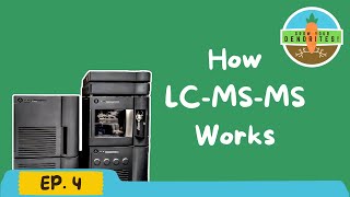 Grow Your Dendrites EP 4 How LCMSMS Works [upl. by Wolf583]